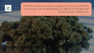 Discover the Truth About Medical Marijuana at ARK Medical Clinic in Dallas Texas