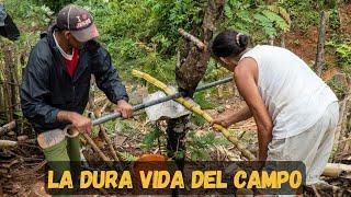 CUBA ¿ CÓMO ES VIVIR EN LAS MONTAÑAS ? | La vida en los campos de Cuba | La Melba, Moa, Cuba vlogs