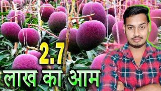 Most Expensive Mango In the World (270000) rs per kg Chandan Vlogss || Mango Festival Raipur 2024 |
