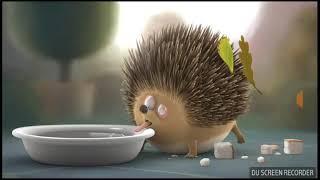 Rollin'Wild:Hedgehog