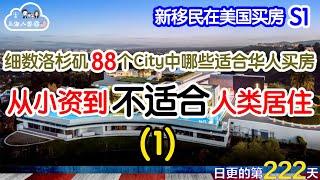 【新移民在美国买房】DTLA/Torrance/PV｜细数洛杉矶88个City中哪些适合华人买房（第一集）从小资到不适合人类居住｜海外华人的日常生活｜日常更新#222 #2023047