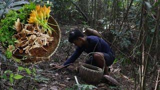 A productive day cleaning my ricefield and foraging WILD MUSHROOM