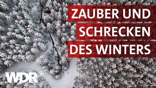 Wenn der Winter kommt | Heimatflimmern | WDR