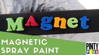 Pinty Plus magnetic spray paint