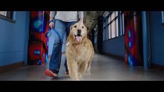 Roswell Park 2024 Big Game Commercial | "Tails of Hope"