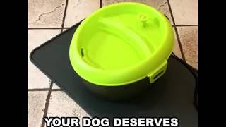 Dog H20 - Pet water fountain