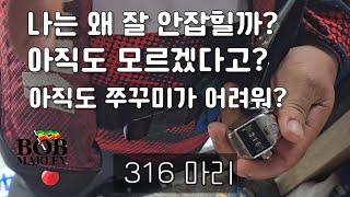 쭈꾸미제압/ 쭈꾸미떼는법도 모르고 쭈꾸미를 한다고/ 우리가 모르는 입질을 찾아라/ #쭈꾸미낚시 #갑오징어낚시 #오천항 #밥말리호