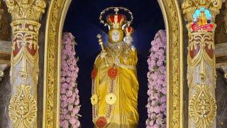 Vailankanni Feast Mass || Live || Basilica of Our Lady of Good Health, Tamil Nadu