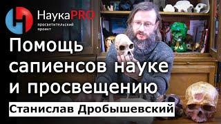 Помощь от сапиенсов науке и просвещению – Станислав Дробышевский | Лекции по антропологии | Научпоп
