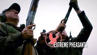 "EXTREME PHEASANTS" - Driven Pheasant Shooting at Whitfield Estate UK (Full Film)