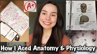 How I Aced Anatomy & Physiology | my study methods (Pre-Nursing)