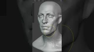 Sculpting a 3D head from scratch in Blender #b3d #tutorial