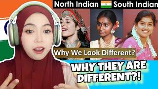 Indonesia Reaction Why North Indians Look Different than South Indians? South Indian Vs North Indian