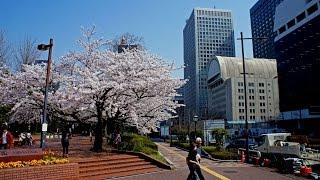 Walking in Tokyo (Japan)