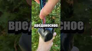 Случайные факты #факты