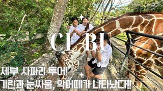 필리핀 세부 자유여행(23.12.31)세부 막탄 슈라인, 세부 사파리 | #Cebu Safari & Adventure Park