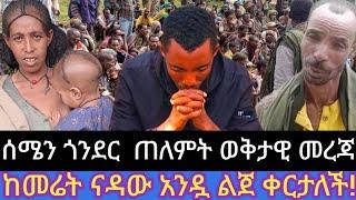 ሰሜን ጎንደር ጠለምት የተከሰተው ምንድን ነው?//ወቅታዊ ሁኔታውስ ምን ይመስላል?በርካታ ወገኖቻችን ተጎድተዋል! በእምየ ጎንደረሰ ስም #shere ይደረግ‼️