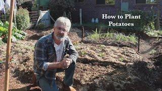 How to Plant and Grow Potatoes