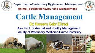 Cattle Management part one 2020