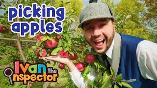 Apple Picking! Fun and Educational Videos for Kids and Toddlers