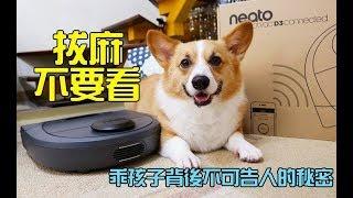 柯基犬肥油 X 乖孩子背後不可告人的秘密 Neato Botvac D3