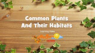 Common Plants And Their Habitats | Learning Video | AuSum Sisters