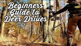 DEER DRIVES Beginner’s Guide- Strategy & Success!