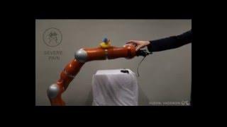 Artificial Robot Nervous System to Teach Robots How to Feel Pain