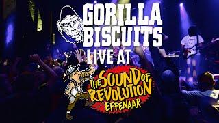 GORILLA BISCUITS @ THE SOUND OF REVOLUTION 2019 EFFENAAR - MULTICAM - FULL SET