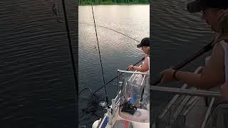 Фрагмент из нового видео https://youtu.be/LZwIF754pfI   #fish #fishing #nature #full