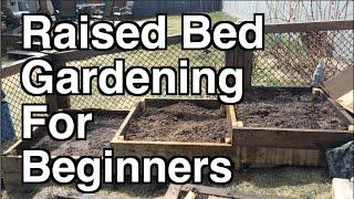 Raised Bed Gardening For Beginners. Site Selection, Organic Soil and Mulch