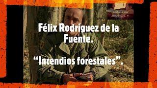 Félix Rodríguez de la Fuente. “Incendios forestales”.