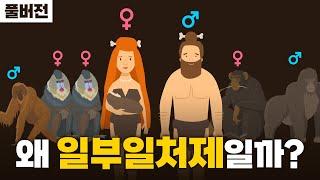 결혼 쉽지 않은 이유, 딱 한 시간만 보세요 ㅣ 연애의 과학 (f. 과학크리에이터 엑소)