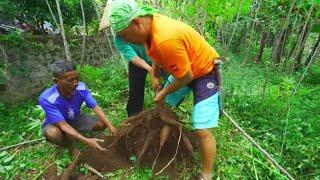 [FULL] SI GUNDUL MASAK KULIT SINGKONG DAN KULIT MANGGIS | JEJAK SI GUNDUL (15/06/23)