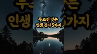 무조건 맞는 인생 진리 5가지  #부처님말씀 #불교명언 #마음공부 #인생조언 #지혜샘물 #삶의지혜 #불교쇼츠 #중년공감 #마음수행