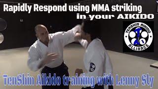 Mma striking in Aikido  -  TenShin Aikido training with Lenny Sly