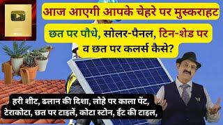 Vastu Tips, छत पर पौधे, सोलर-पैनल, टिन-शेड छत पर कलर्स, Vastu Tips For Plants, Solar Panels For Home