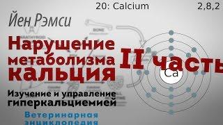 Нарушение метаболизма кальция. Изучение и управление гиперкальциемией