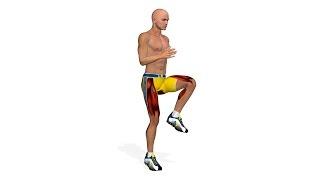 Best Cardio Exercises: High Knees Running In Place