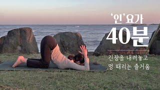 인 요가 40분 시퀀스 | 여유로운 인요가의 매력, 딥 스트레칭