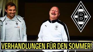 Transfermarkt! Wichtige Nachrichten! Beiträge unterwegs! Borussia-Park im Umbau!