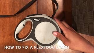 How to Fix a Flexi Leash (without screws)