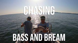 Chasing Bass and Bream