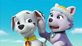 Paw Patrol Clip: Mighty Pup Super Paws || Everest Itches Marshall's Ear & Unfreezes Him In Tag ||