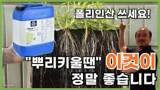 뿌리 키우는 비료 100%폴리인산 슈퍼FK30 정말 좋습니다 | 폴리인산칼륨 비료 추천, 관주비료 | 농사 100단