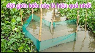 Cách đặt cái giớn xoay bồn ngang sông #fishtrap