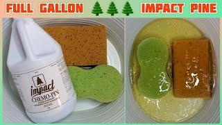 Gallon Impact Pine Cleaner  THICK SUDS  ASMR Sponge Squeezing