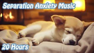 20 HOURS of Dog Calming Music For DogsAnti Separation Anxietystress relief music NadanMusic