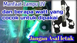 manfaat lampu UV aquarium dan ukuran berapa watt yang cocok untuk digunakan.