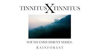 Tinnitus X Series: Relaxing Cicada Sounds for Sleeping  | Rainforest Sound Enrichment for Tinnitus